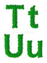 Alphabets, or phonemic alphabets, are sets of letters, usually arranged in a fixed order, each of which represents one or more phonemes, both the greeks created the first phonemic alphabet when they adapted the phoenican alphabet to write greek. Green Grass Alphabet Stock Illustrations 5 974 Green Grass Alphabet Stock Illustrations Vectors Clipart Dreamstime