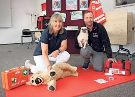 Tierisch sicher: Deutsches Rote Kreuz Segeberg bietet Erste-Hilfe-Kurs an  Was tun, wenn sich der Hund verletzt?