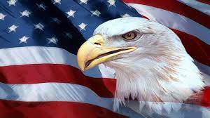 Posted by eylien zahlia posted on april 07, 2019 with no comments. American Flag Eagles Wallpapers Top Free American Flag Eagles Backgrounds Wallpaperaccess