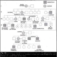 Pedigree Analysis Of Hemophilia Explained With Diagram