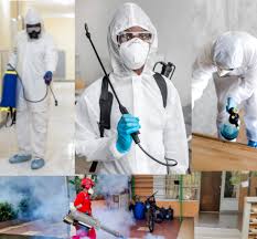 Termite Protection System