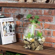 Ikan cupang dibuatkan kamar kos di dalam aquarium. Shopee Indonesia Jual Beli Di Ponsel Dan Online