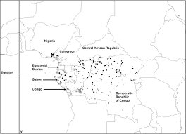 Image result for Thomandersia hensii