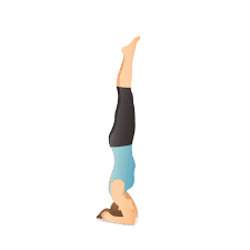 Yoga Pose Supported Headstand Yoga Drawing Yoga Illustration Yoga