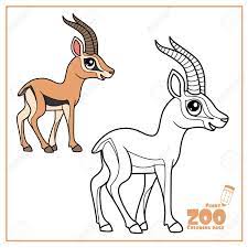 Zootopia 06 coloring pages printable and coloring book to print for free. Cute Cartoon Little Gazelle Color And Outlined On A White For Coloring Page Royalty Free Cliparts Vectors And Stock Illustration Image 124972970