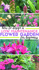 Don't forget about the magic of splitting your perennials! Designing A Low Maintenance Flower Garden With Perennials Doesn T Have To Be An Impossible Low Maintenance Flower Garden Flower Garden Plans Flower Bed Designs