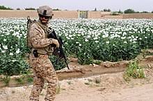 As part of the military of the united arab emirates, the united arab emirates army is responsible for land operations. United Arab Emirates Armed Forces Wikipedia