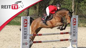 Das springreiten ist eine disziplin im reitsport, bei der es darum geht, einen parcours aus sprüngen und hindernissen möglichst stilistisch, schnell und dabei fehlerfrei zu überwinden. Springreiten Lernen Parcoursbegehung Hindernisse Richtig Einschatzen Youtube