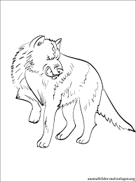 Einfache, mittlere und schwierige malvorlagen pdf, jpg, a4 zum download. 33 Wolf Zeichnungen Zum Ausmalen Besten Bilder Von Ausmalbilder