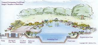 Natural Pool Wikipedia The Free Encyclopedia Natural Swimming Pools Swimming Pond Natural Pool
