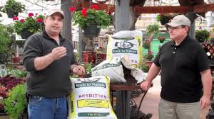 Some people prefer to sift because it is easy to spread the compost around their plants, but there is no right or wrong way. Back To Nature Cotton Burr Compost Youtube