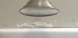 Start date dec 16, 2008. Here S Why Paint Is Peeling In Your Bathroom Today S Homeowner