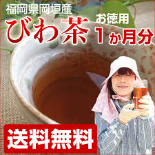 びわの葉茶 無農薬 1か月分 九州のこだわり食材お取り寄せ 朝ごはん本舗