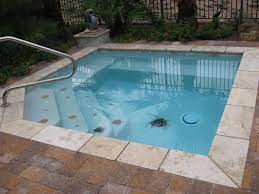 Have a look at these dainty designs. Small Pool Designs Design A Pool To Fit Your Space Premier Pools Spas The Worlds Largest Pool Builder
