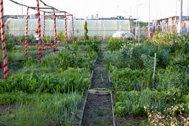 Home › very dirty envy x reader forced lemon(closed). Interview Stephanie Hunt Founder The Lemon Tree Trust Floret Flowers