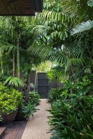 A Tropical Garden In The Heart Of Melbourne Tropical Garden Design Bali Garden Tropical Backyard