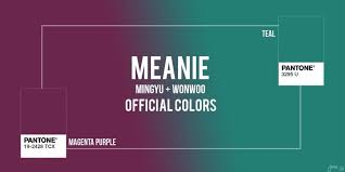 notice seventeen fan club colors: Meanie S Official Color Carat ìºëŸ¿ Amino