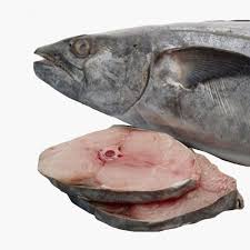 Keunggulan utama protein ikan jika anda bandingkan dengan sumber protein lain adalah kemudahannya untuk dicerna dan kelengkapan pada komposisi asam amino yang terkandung. 11 Jenis Ikan Sungai Dan Laut Dalam Temui Di Pasar Bidadari My