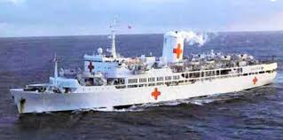 Image result for Timorbeige 1982 Fleet