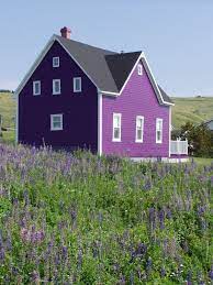 Maybe you would like to learn more about one of these? Purple Colour House Outside Novocom Top