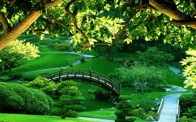 Maybe you would like to learn more about one of these? Beautiful Nature Wallpapers 73 Background Pictures