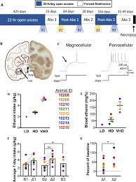 These include painters, filmmakers, actors, pastors, authors, professors, and architects. Synaptic Adaptations In The Central Amygdala And Hypothalamic Paraventricular Nucleus Associated With Protracted Ethanol Abstinence In Male Rhesus Monkeys Neuropsychopharmacology