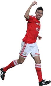 Guess im a lille fan now. Nicolas Gaitan Football Render 9333 Footyrenders