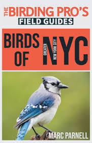 There's no need to look through dozens of photos of birds that don't live in new this book features 120 species of new york birds, organized by color for ease of use. Birds Of Greater New York City The Birding Pro S Field Guides Paperback Chapters Books Gifts
