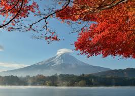 We did not find results for: Mount Fuji 4k Ultra Hd Wallpaper Background Image 4372x3123