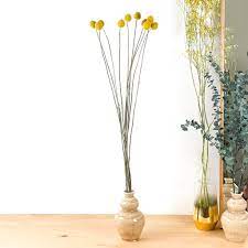 Edible flowers grown in our green houses in the yarra valley, victoria. Craspedia Yellow Dried Flowers Order Online Dry Flower Bouquet Online Shop Madame Fleurs