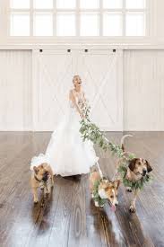 It will vary depending on how many 'courtesy' invitations you send out. A Celebration Of Holy Muttrimony Baltimore Weddings