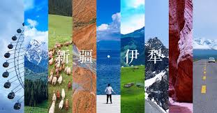 精致”六月新疆行——自驾伊犁环线与独库公路| DeveWork