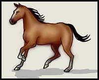 How to draw a hoodie, draw hoodies, step by step, drawing guide, by dawn. How To Draw Cartoon Horses Realistic Horses Drawing Tutorials Drawing How To Draw Horses Drawing Lessons Step By Step Techniques For Cartoons Illustrations