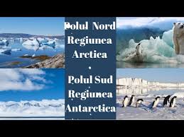 Astfel de zone sunt numite „văi uscate sau „oaze antarctice. Polul Nord È™i Polul Sud Arctica È™i Antarctica Youtube