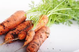 Que planter en octobre au potager et dans le jardin? 10 Fleurs Et Legumes A Planter Au Mois De Juillet
