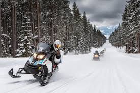 Image result for snowmobile