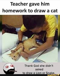 Teacher Gave Him Homework To Draw A Cat G Thank God She Didn T Asked To Draw A Lion Or Snake Ifunny Funny English Jokes Some Funny Jokes English Jokes