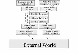 One point that i found interesting was when the reading stated that the individual, the environment, and the task are all influencing and being influenced by each other. Https Stanford Edu Jlmcc Papers Andersonlebiere03 Pdf
