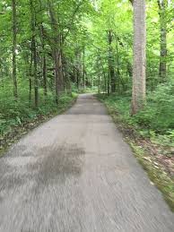 Maybe you would like to learn more about one of these? Cabin Picture Of Potato Creek State Park North Liberty Tripadvisor