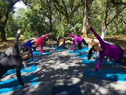 For guests who wish to practice yoga either in their room or at the fitness center, the hotel provides yoga bags with mats, straps and blocks. Best Yoga Outdoors San Francisco Bay Area Body Flows Yoga California
