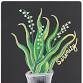 Serenity-Lily of the Valley