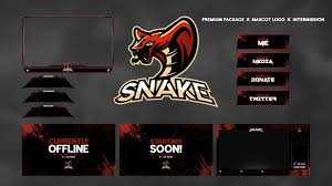 Design Amazing Twitch Overlay And Logo For Your Stream