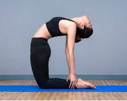 We did not find results for: Back Bends Learn Back Bend Yoga Poses At Home With Yoga Experts At Cult Fit