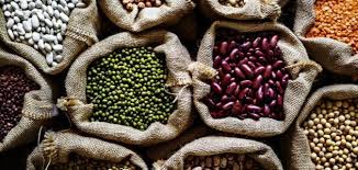 The antioxidant efficacy of flavonoids in vivo is less documented, presumably because of the limited knowledge on their uptake in humans. Ù…Ø§ Ù‡ÙŠ Ø§Ù„Ø¨Ù‚ÙˆÙ„ÙŠØ§Øª Ù…ÙˆØ¶ÙˆØ¹