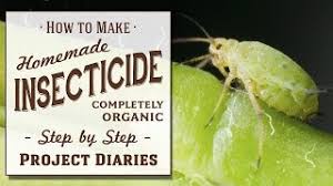 Once finished shaking, spray directly on the surfaces of the plants which are being affected by the little pests. How To Make Homemade Insecticide Complete Step By Step Guide To Killing Garden Pests Insects Youtube