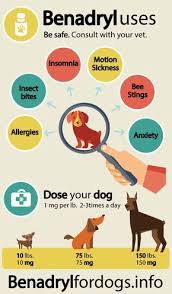 Benadryl Dosage And Uses For Dogs From Your Friends At Phoenix Dog In Home Dog Training K9katelynn See More Dog Benadryl Benadryl For Dogs Dosage Dog Remedies