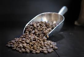 Zeal® pet foods is the registered brand of the natural pet treat company ltd. Pet Wants South Orlando Fl Pet Food Pet Accessories Natural High Quality Pet Food Delivery