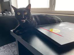 Fiecare regulă încălcată atrage după sine un avertisment (la prima abatere, mai ales dacă fapta nu e gravă) şi apoi pedeapsa. Cum Se FurÄƒ È™tergÄƒtoare In ParcÄƒri Arhiblog