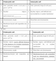 If you think about it, most animal cells are inside an organism that has either an exoskeleton or an endoskeleton, built. Chapter 5 The Fundamental Unit Of Life Science Ncert Solution Grade 9