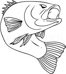 We did not find results for: How To Draw A Bass Step By Step Drawing Guide By Dawn Dragoart Com Fish Coloring Page Coloring Pages Fish Drawings